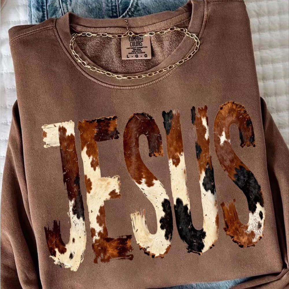 Hanes Brown JESUS Sweatshirt